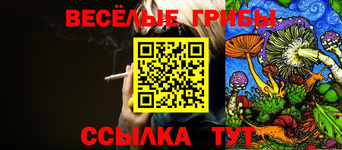 Кимры  Псилоцибиновые грибы мухоморы  Псилоцибиновые грибы Psilocybe  Вход с VPN 